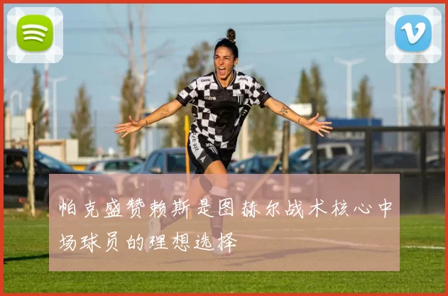 帕克盛赞赖斯是图赫尔战术核心中场球员的理想选择